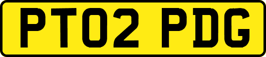PT02PDG