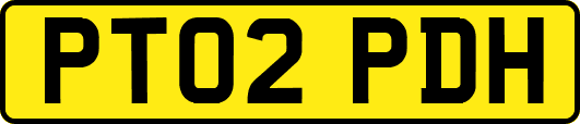 PT02PDH