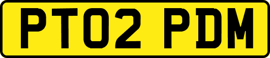 PT02PDM