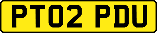 PT02PDU