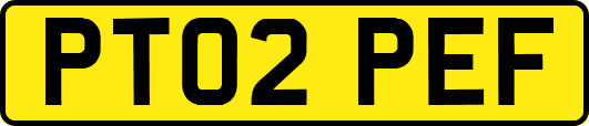 PT02PEF