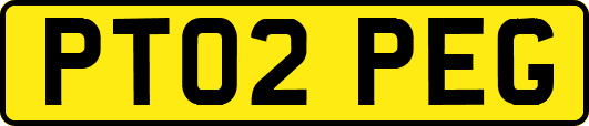 PT02PEG