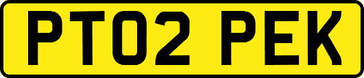 PT02PEK