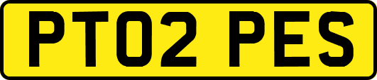 PT02PES