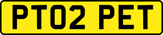 PT02PET