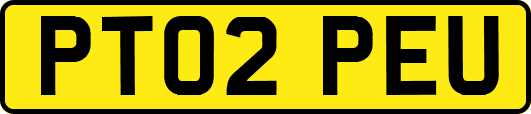 PT02PEU