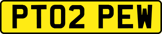 PT02PEW
