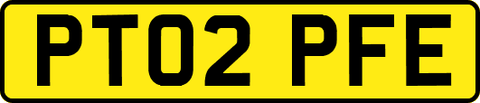 PT02PFE