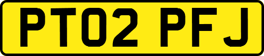 PT02PFJ