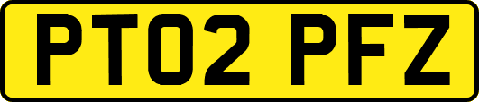PT02PFZ