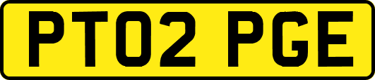 PT02PGE
