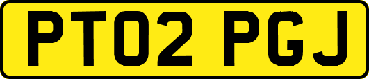 PT02PGJ