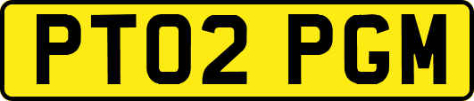PT02PGM