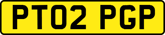 PT02PGP