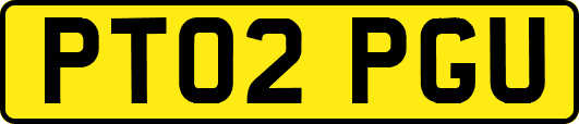 PT02PGU