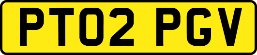 PT02PGV