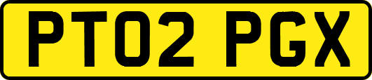 PT02PGX
