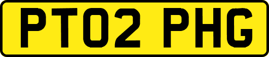 PT02PHG