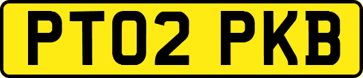 PT02PKB