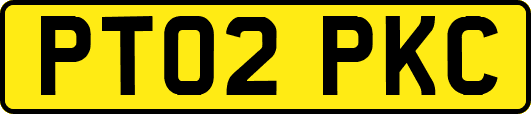 PT02PKC