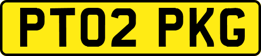 PT02PKG