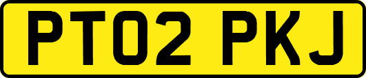 PT02PKJ