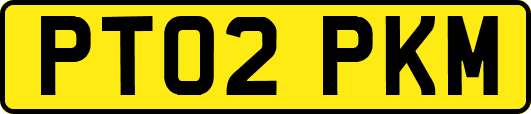 PT02PKM