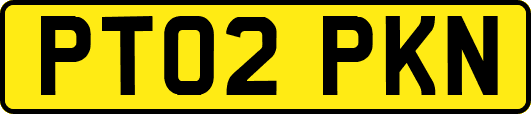PT02PKN