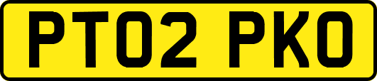 PT02PKO