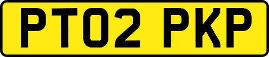 PT02PKP