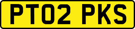 PT02PKS