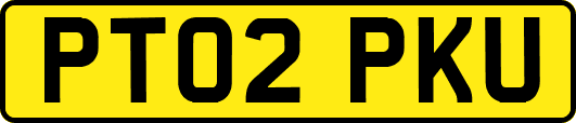 PT02PKU