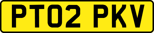 PT02PKV