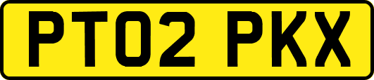 PT02PKX