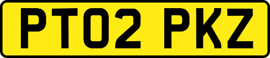 PT02PKZ