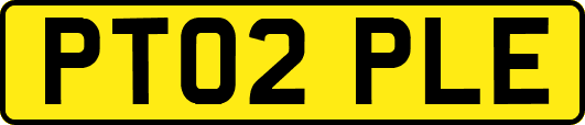 PT02PLE