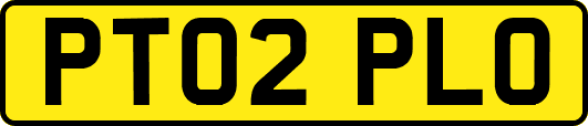 PT02PLO