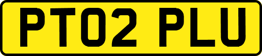 PT02PLU