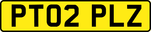 PT02PLZ