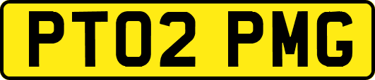 PT02PMG