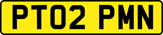 PT02PMN