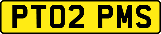 PT02PMS
