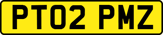 PT02PMZ