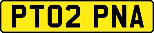 PT02PNA