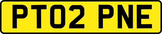 PT02PNE