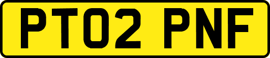 PT02PNF