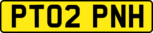 PT02PNH