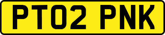 PT02PNK