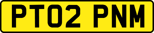 PT02PNM