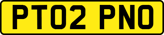 PT02PNO